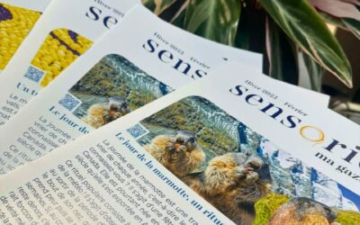Comment la lecture peut aider à lutter contre la perte d’autonomie ?